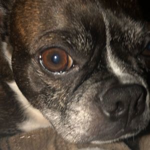 Meet your Posher, Logan